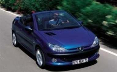 Complete guide to Peugeot 206 2007