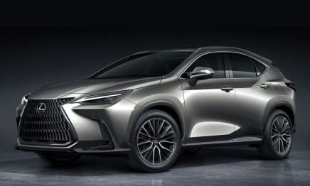 2024 Lexus NX SUV NX350H Sports Luxury + EP1 Hybrid AWD