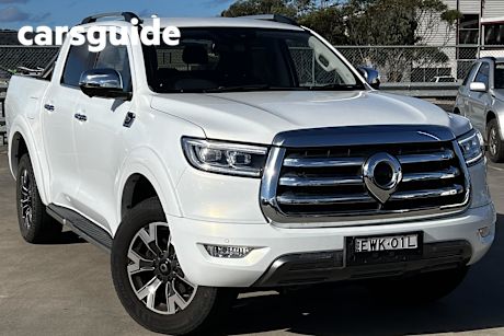 Silver 2022 GWM UTE Dual Cab Utility Cannon-X (4X4)