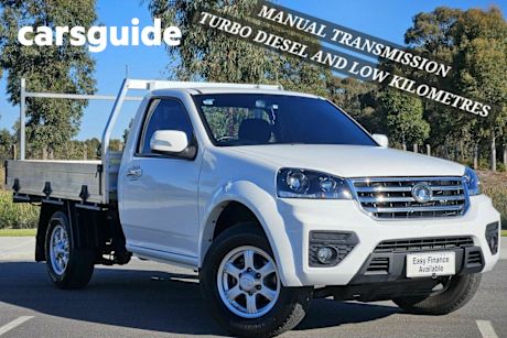 White 2021 GWM Steed Cab Chassis (4X2)