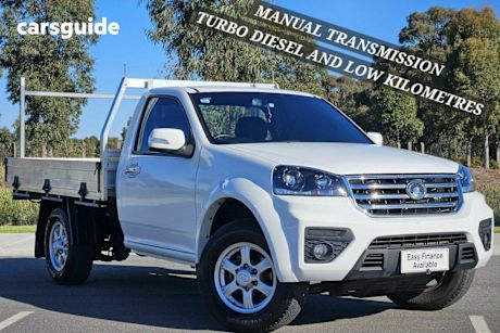 White 2021 GWM Steed Cab Chassis (4X2)