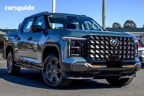 Green 2025 LDV Terron 9 Ute Tray ORIGIN 4WD