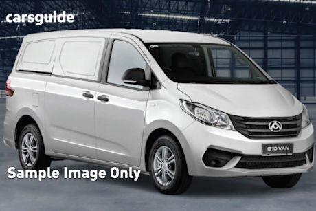 2025 LDV G10+ Van Barn Door