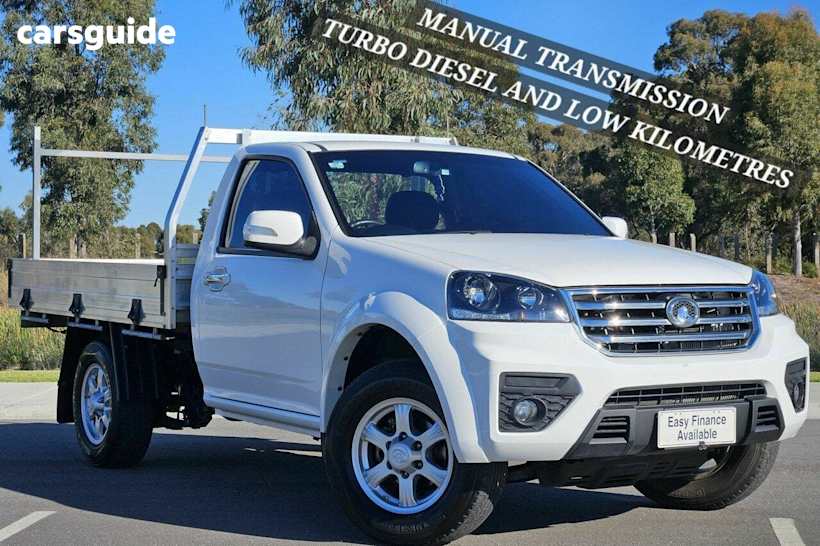 White 2021 GWM Steed Cab Chassis (4X2)